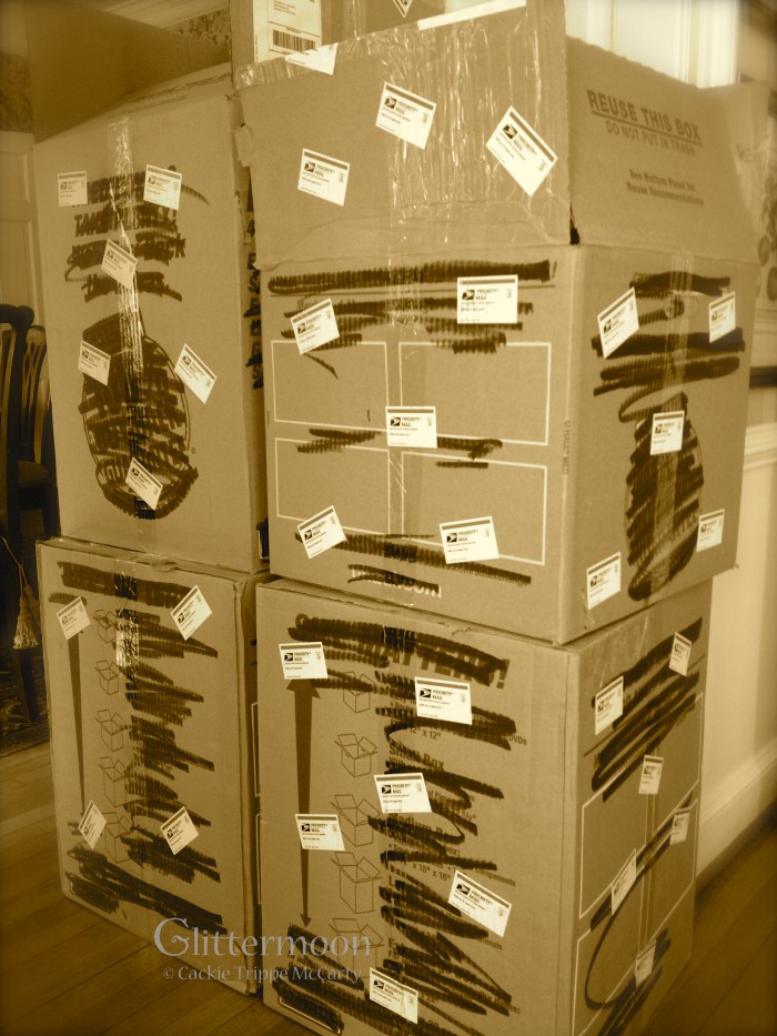 IMG_0577 - Version 2