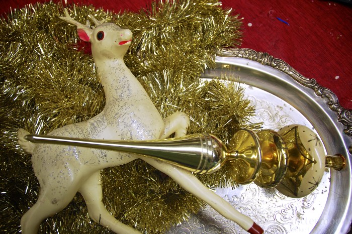 DSC_0316 - Version 2