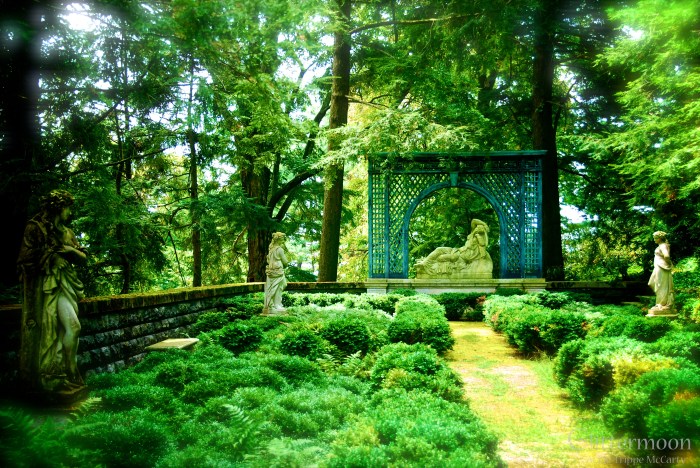 DSC_0182 - Version 2