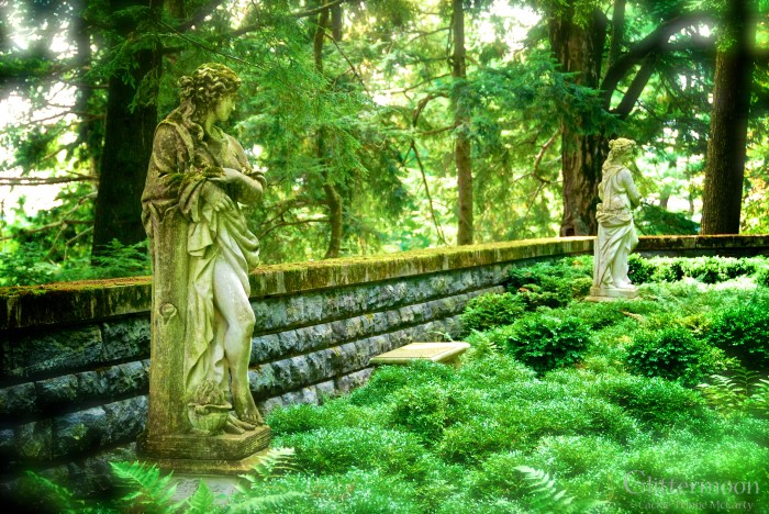 DSC_0185 - Version 2