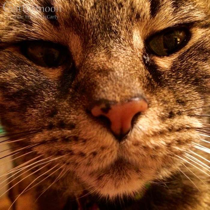 Gaby's face tells it all.