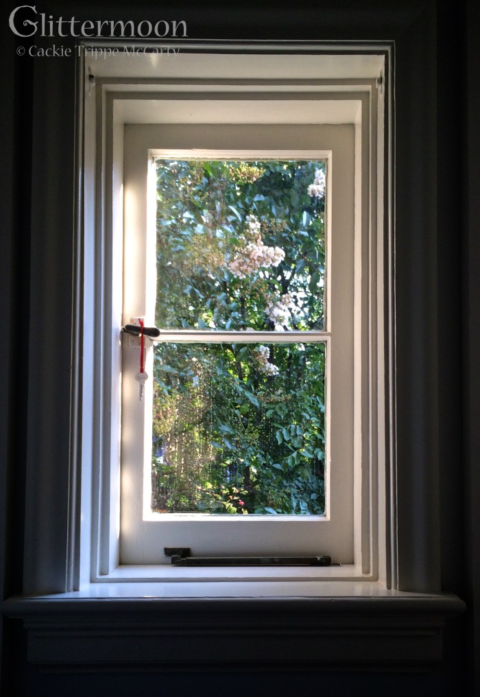 IMG_4204 - Version 2