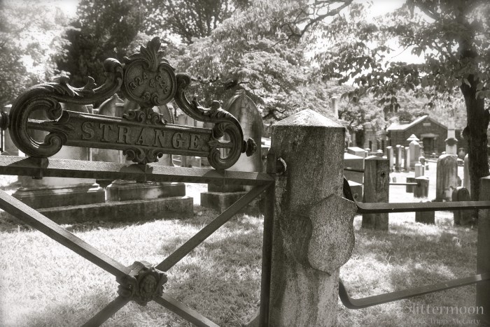 Cemetery plot - Sleepy Hollow, NY