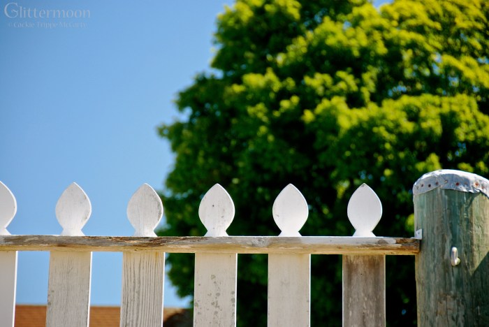 A charming picket fence at Mystic Seaport.