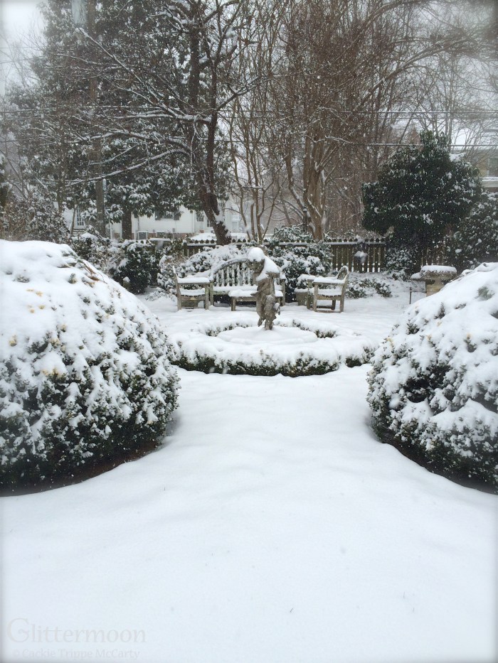 IMG_5111 - Version 2