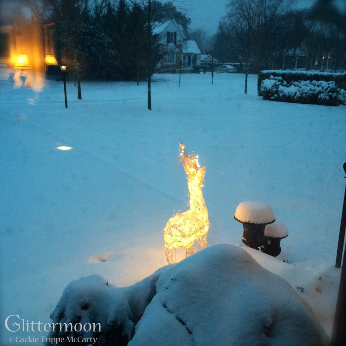 IMG_5135 - Version 2