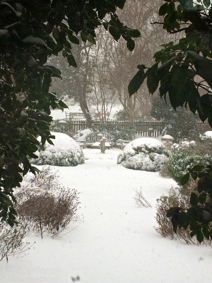 IMG_5164 - Version 2