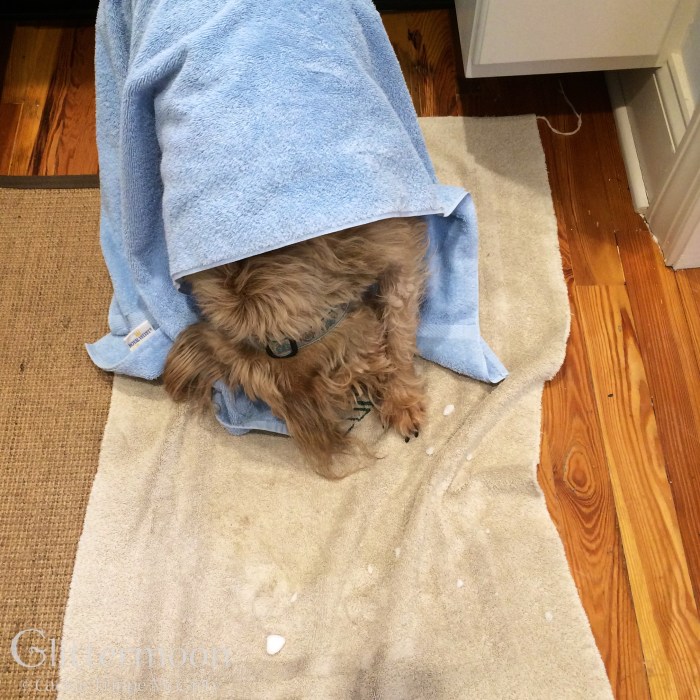 IMG_5234 - Version 2