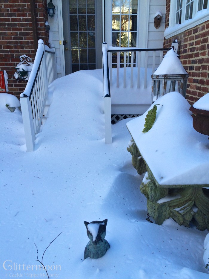 IMG_5264 - Version 2 (1)