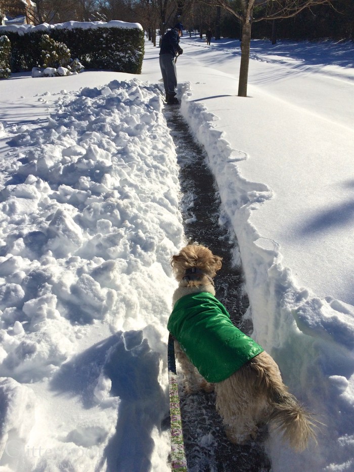 IMG_5266 - Version 2