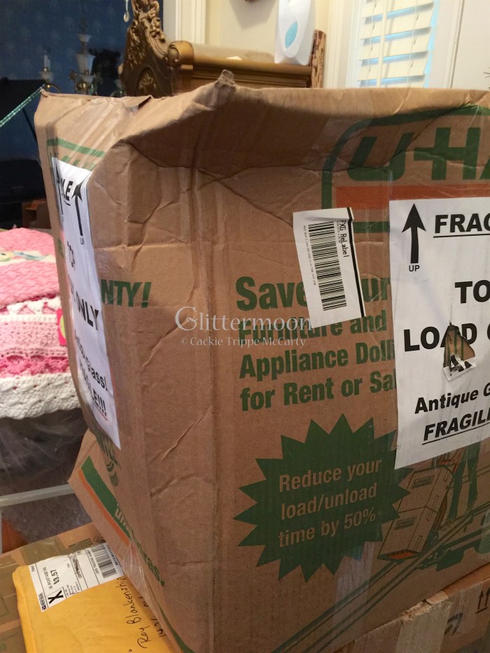 IMG_6803 2 - Version 2