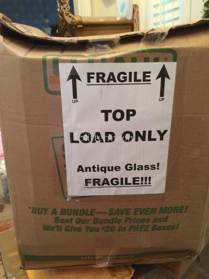 IMG_6807 - Version 2