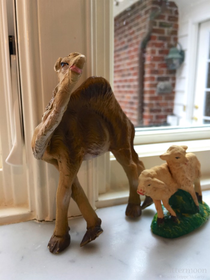 IMG_4764 - Version 2