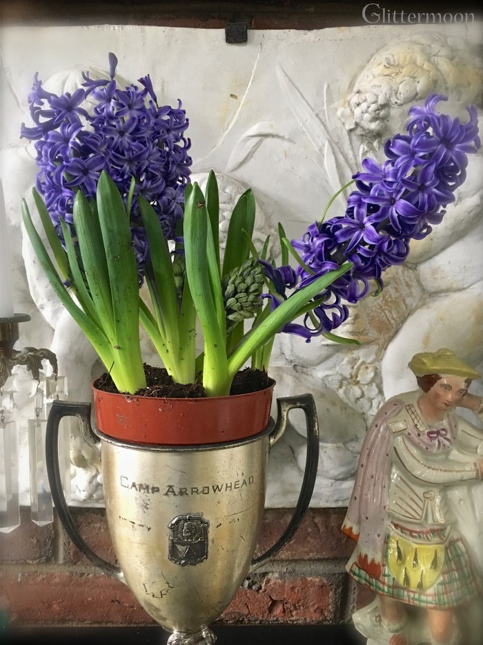 IMG_4787 - Version 2